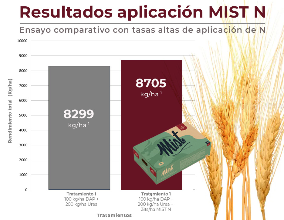 cuadro trigo MIST N
